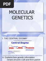 Download Molecular Genetic Ppt by Heidi May SN86608569 doc pdf