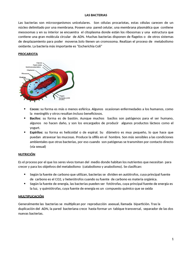 Características y Clasificación de Bacterias | PDF | Las bacterias | Virus