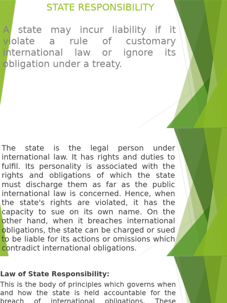Understanding State Responsibility in Law | PDF | Treaty ...