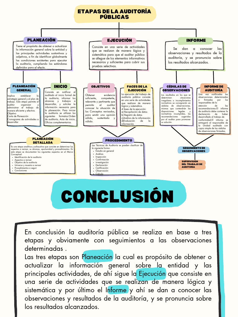 Etapas de la Auditoría Pública | PDF | Auditoría | Contralor