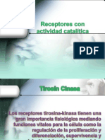 Receptores Con Actividad Catalítica