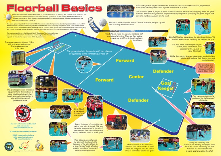 FB Basics PDF Ice Hockey Sports Rules And Regulations