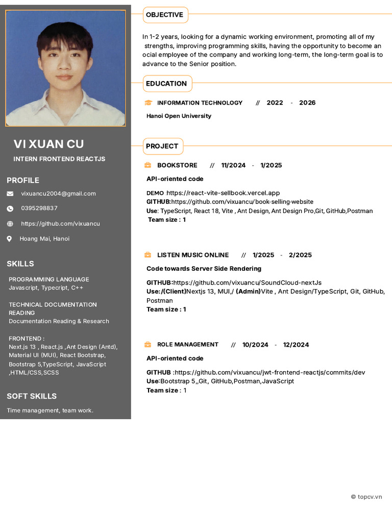 CV ViXuanCu FrontendJs | PDF | Software Engineering | Computer Programming