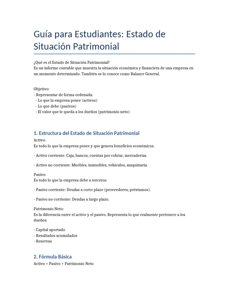Guía del Estado de Situación Patrimonial | PDF