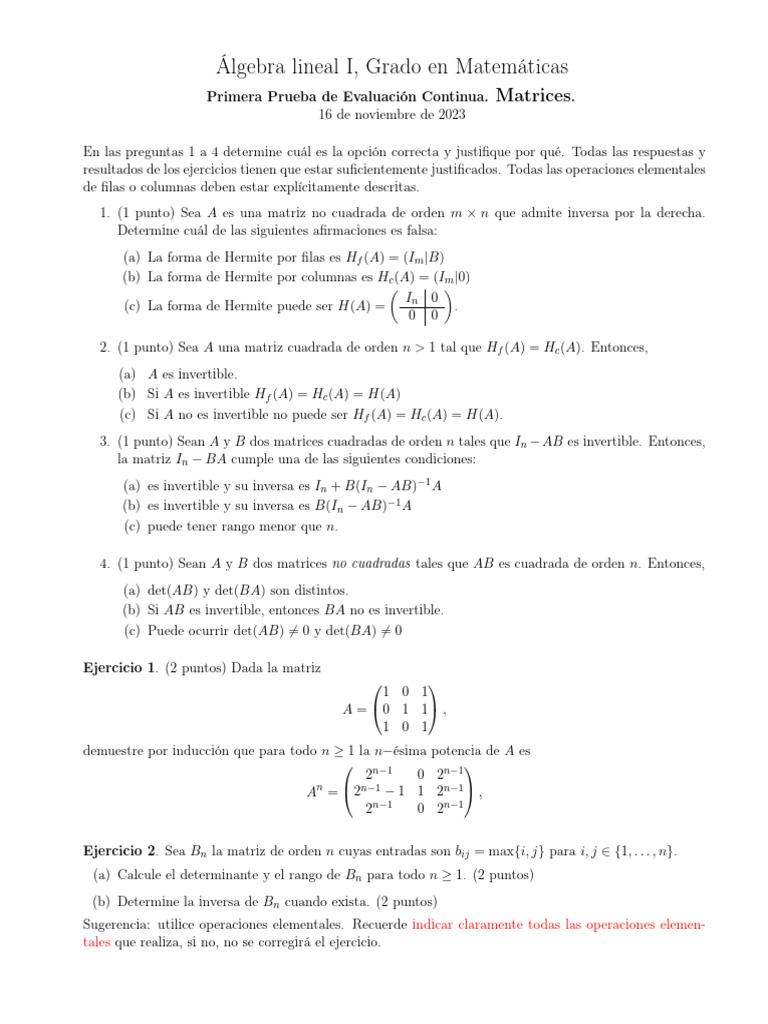 Prueba de Evaluación: Matrices en Álgebra | PDF | Matriz (Matemáticas ...