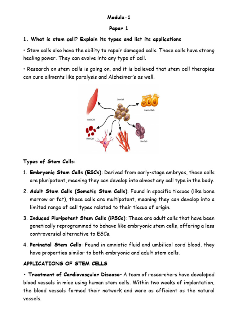 Types and Applications of Stem Cells | PDF | Cell (Biology) | Eukaryotes