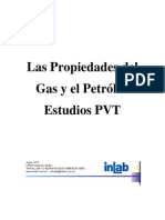 79962710 Estudios PVT Petroleo y Gas