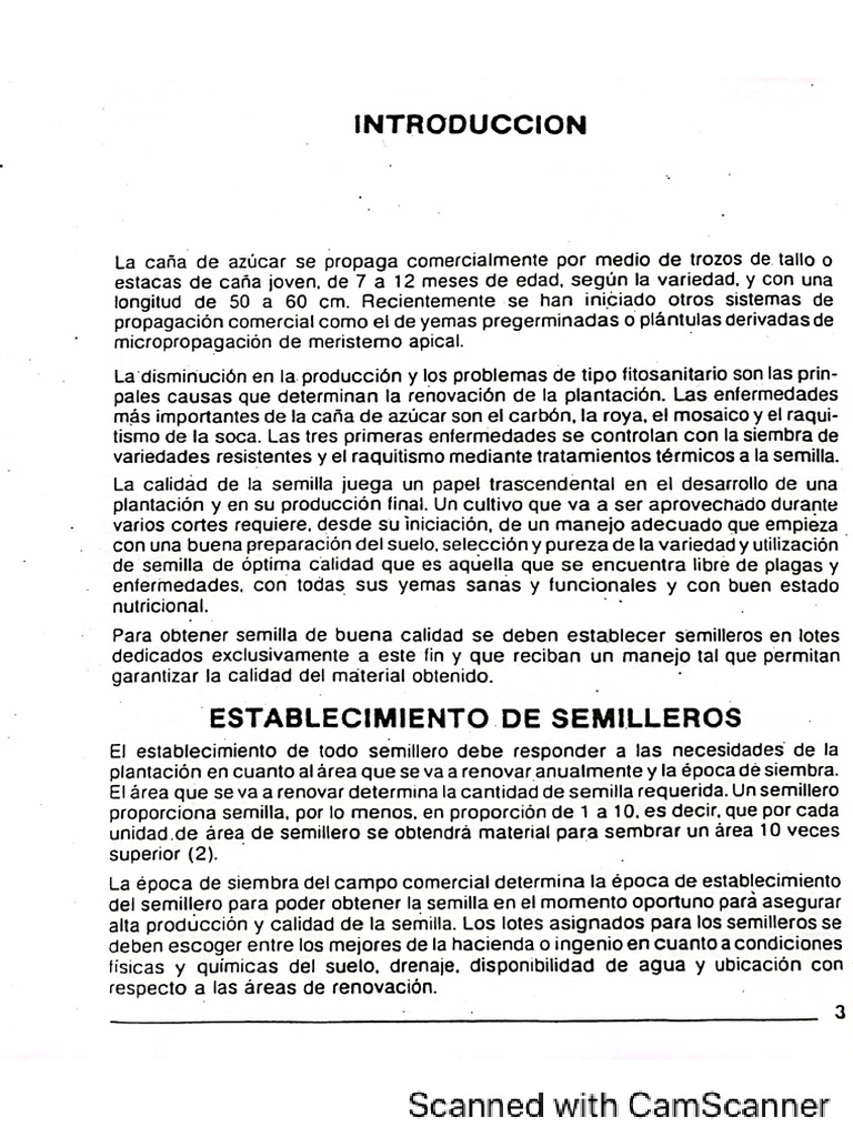Semilleros | PDF