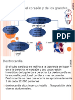 Anomalias Del Corazon y de Los Grandes Vasos TRABAJO ZAMORA