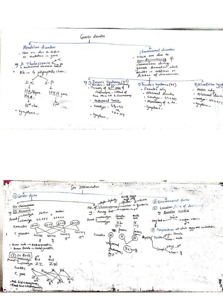 Document 137 | PDF