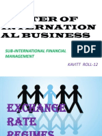 Master of Internation Al Business: Sub-International Financial Management