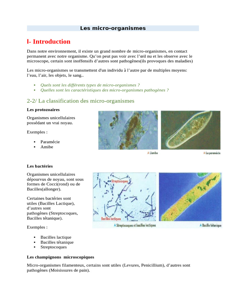 Classification des micro-organismes | PDF