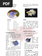 Download Ikan Cupan1 by Angghieta Aprillia SN86623097 doc pdf