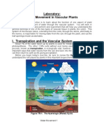 Laboratory: Water Movement in Vascular Plants: Figure TR-1. The Hydrologic (Water) Cycle