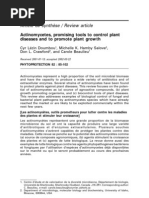 Download Actinomycetes Promising Tools to Control Plant Disase by Anggianing Tyas Rahayu SN86625378 doc pdf