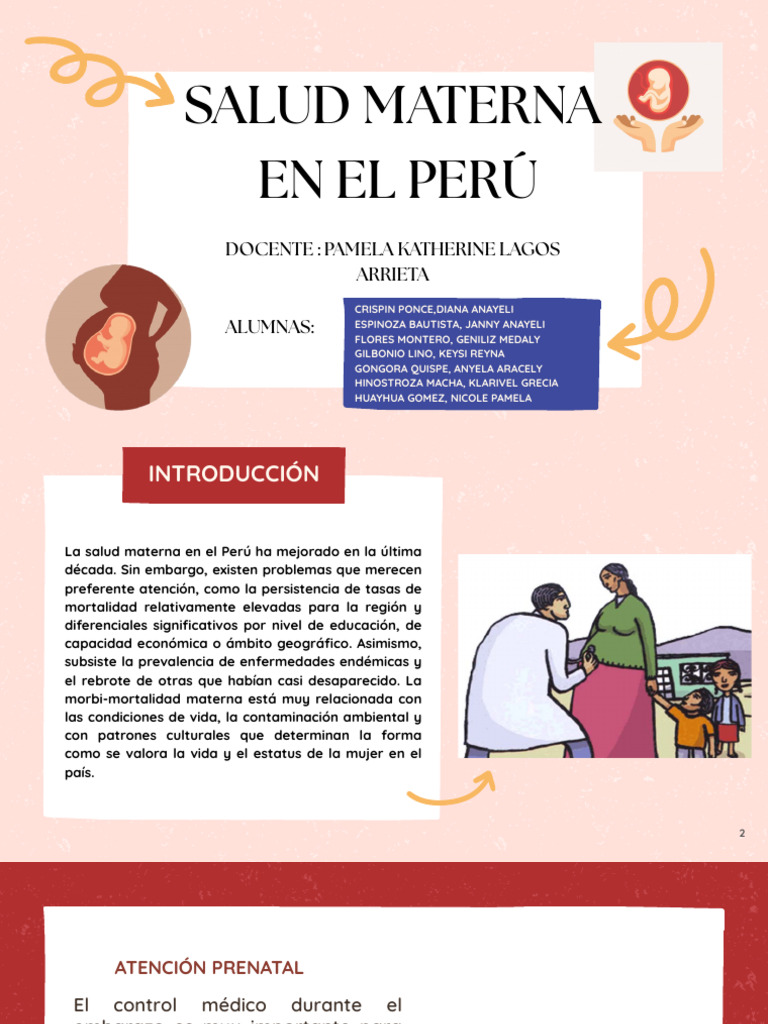 Salud Materna en Perú: Avances y Retos | PDF | Salud maternal | Parto
