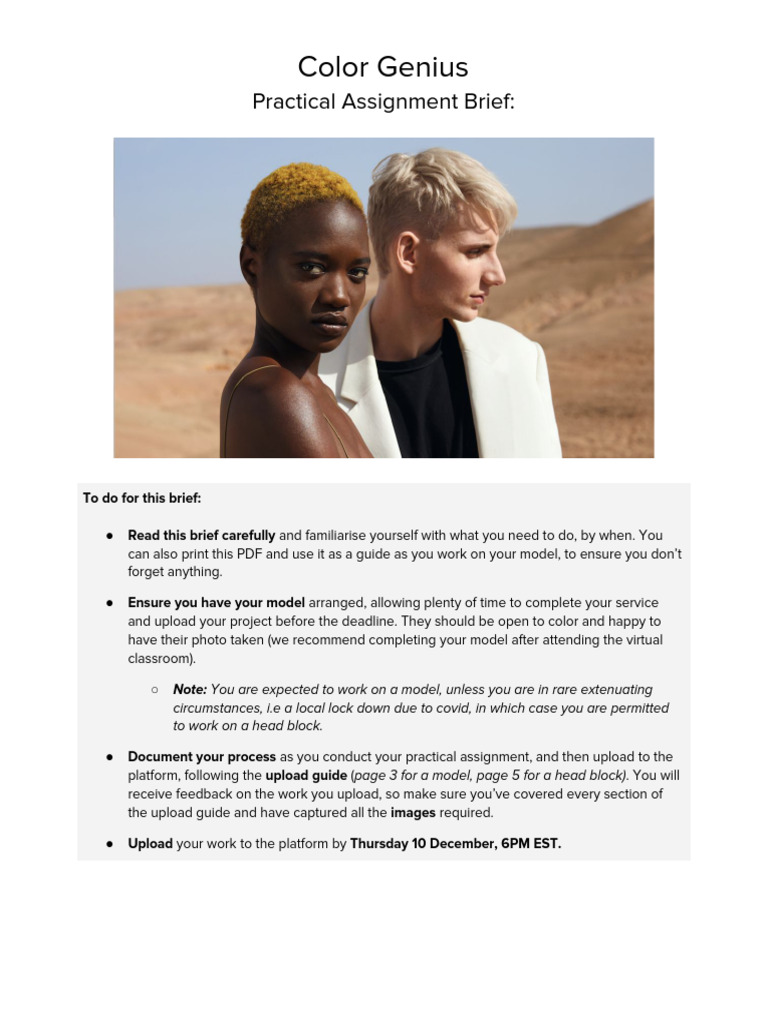 Color Placement Practical Assignment Guide | PDF | Color | Area
