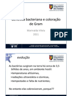 2. Genética Bacteriana E Coloração De Gram