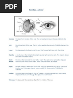 Basic Eye Anatomy: Cornea