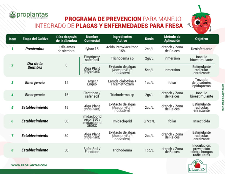 Programa de Prevención | PDF | Organismos