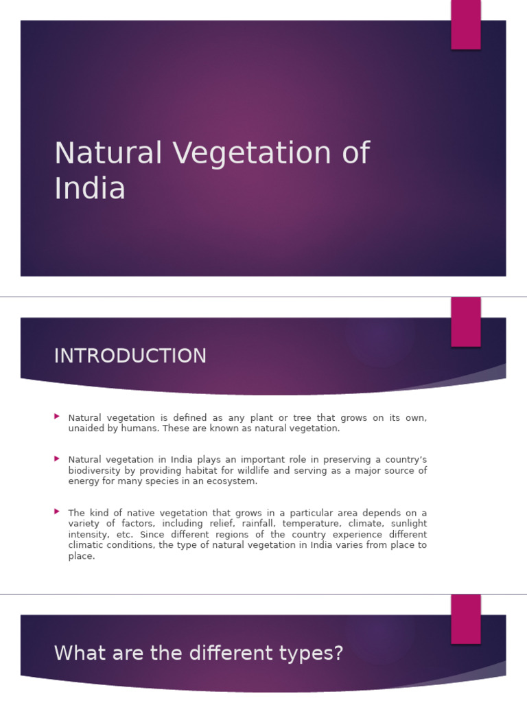 Natural Vegetation of India | PDF | Forests | Trees