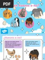 Pirámide de Hoy La Pirámide de Las Loterías de A | PDF