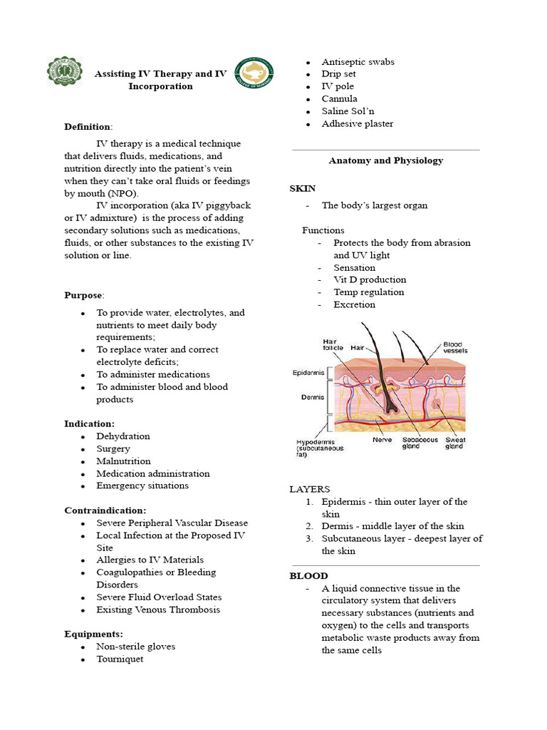 Iv Therapy and Incoporation Handouts | PDF | Intravenous Therapy | Vein