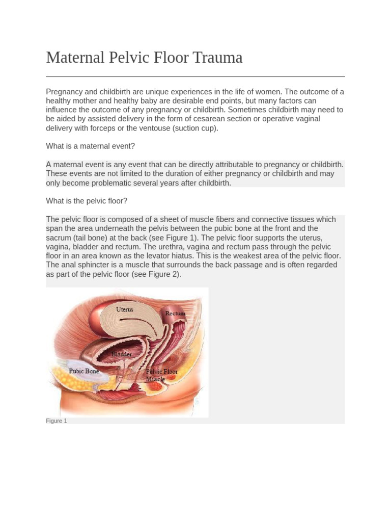 Understanding Maternal Pelvic Floor Trauma | PDF | Childbirth | Vagina