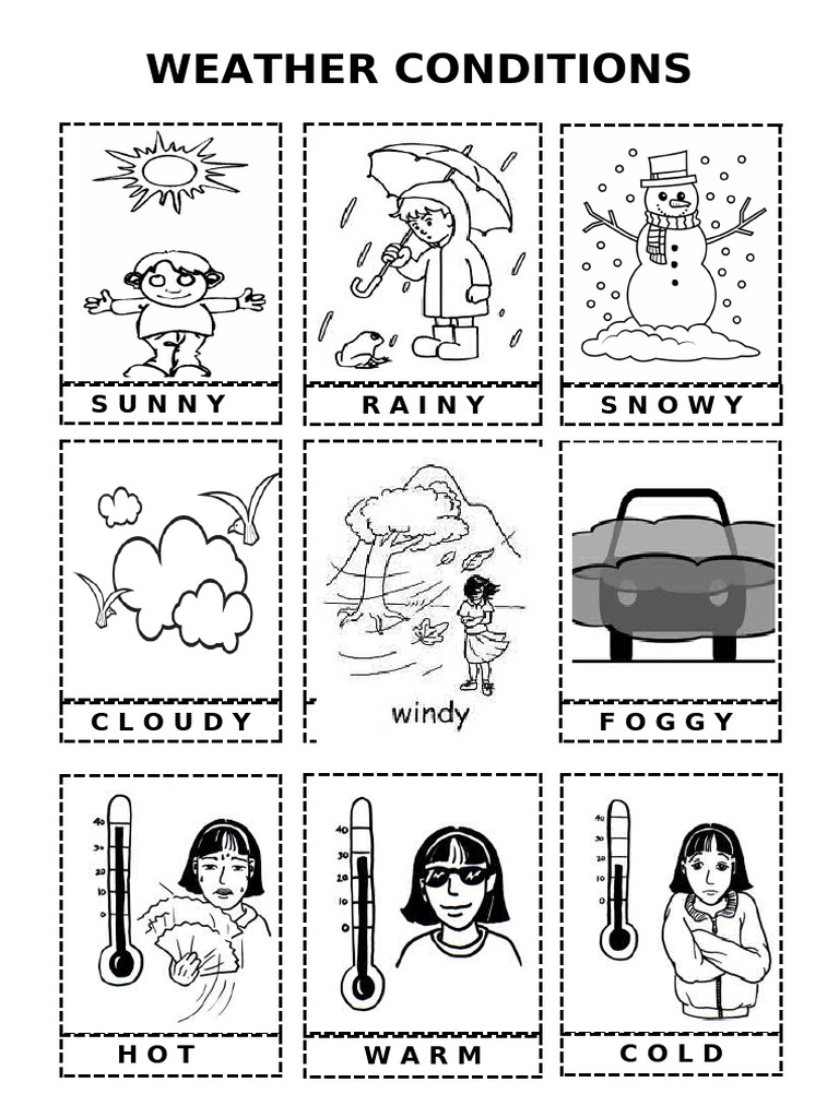 Weather-Conditions 106438 | PDF