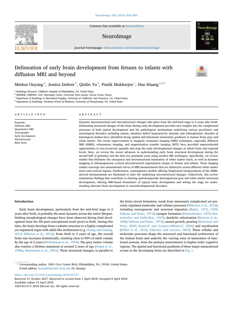 Early Brain Development via Diffusion MRI | PDF | Neuroanatomy ...