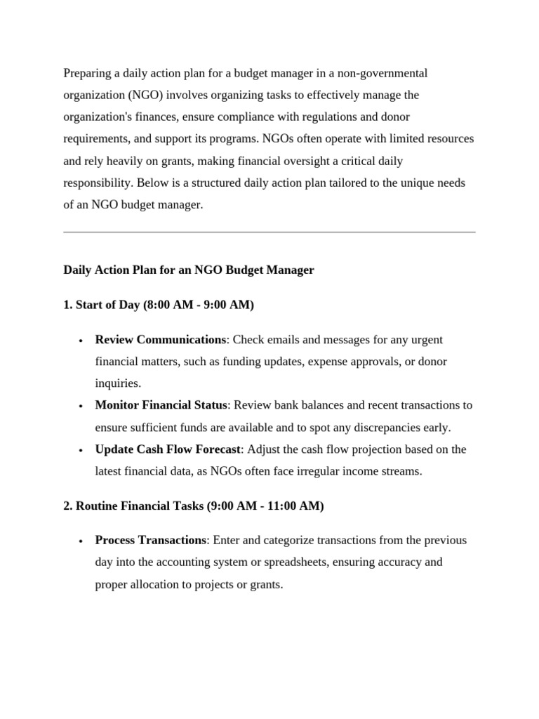 Daily Action Plan For A Budget Manager in A Non | PDF | Non ...