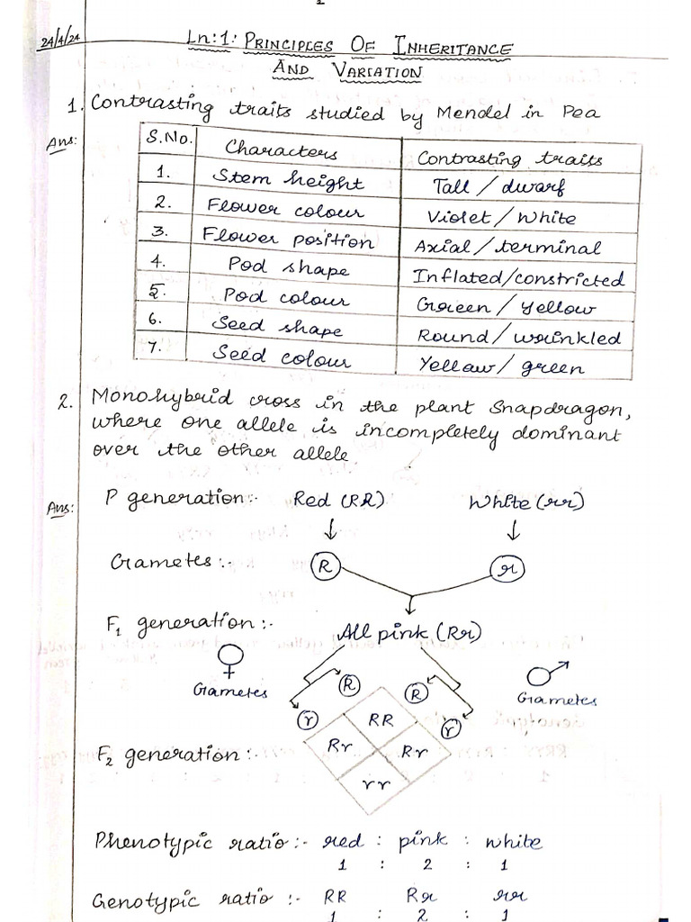 Bio CW | PDF