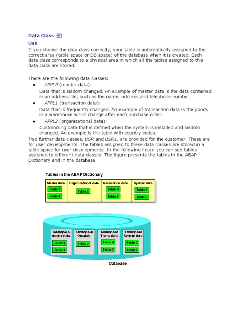 Understanding Data Classes in SAP ABAP | PDF