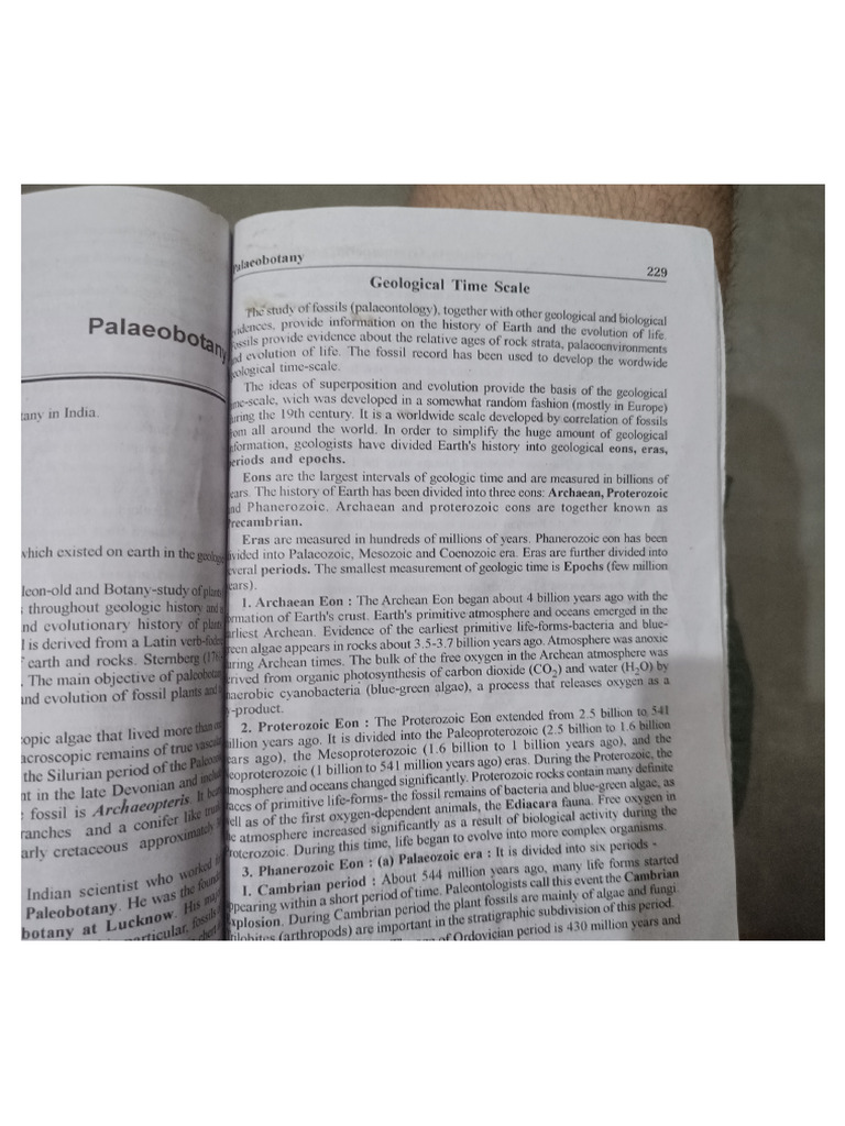 Geological Time Scale1 | PDF