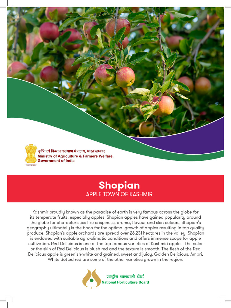 Shopian Brochure | PDF | Juice | Diet & Nutrition