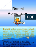 Rantai Pernafasan