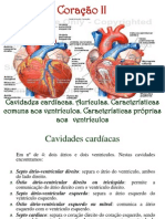 Coração II