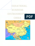 International Business Environment in China