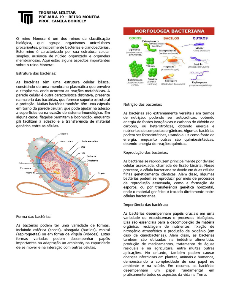 Estrutura e Função do Reino Monera | PDF | Bactérias | Célula (Biologia)
