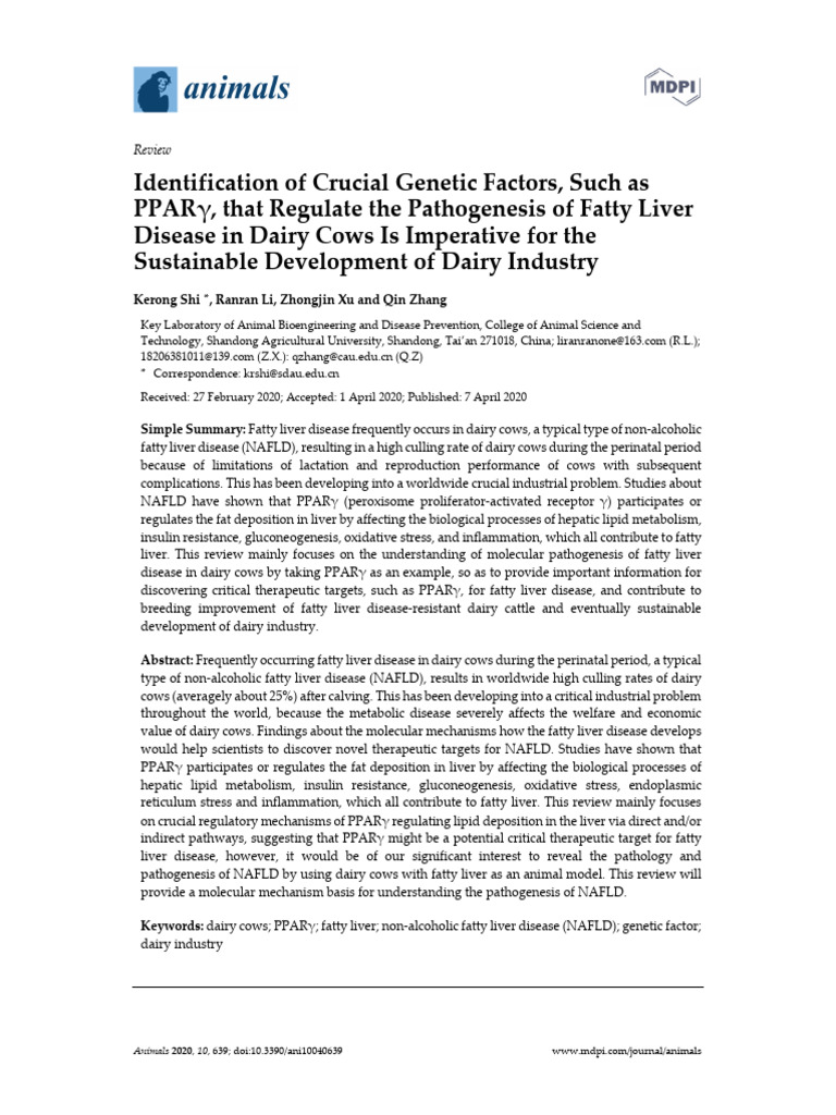 Genetic Factors in Dairy Cow Fatty Liver | PDF | Insulin Resistance ...