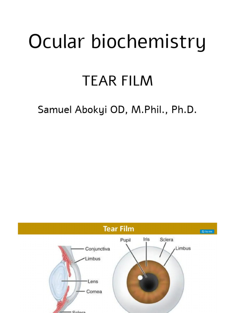 Ocular Biochemistry Tearfilm | PDF