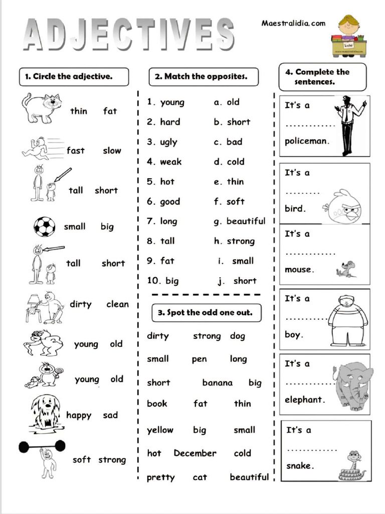 Adjectives Exercise | PDF