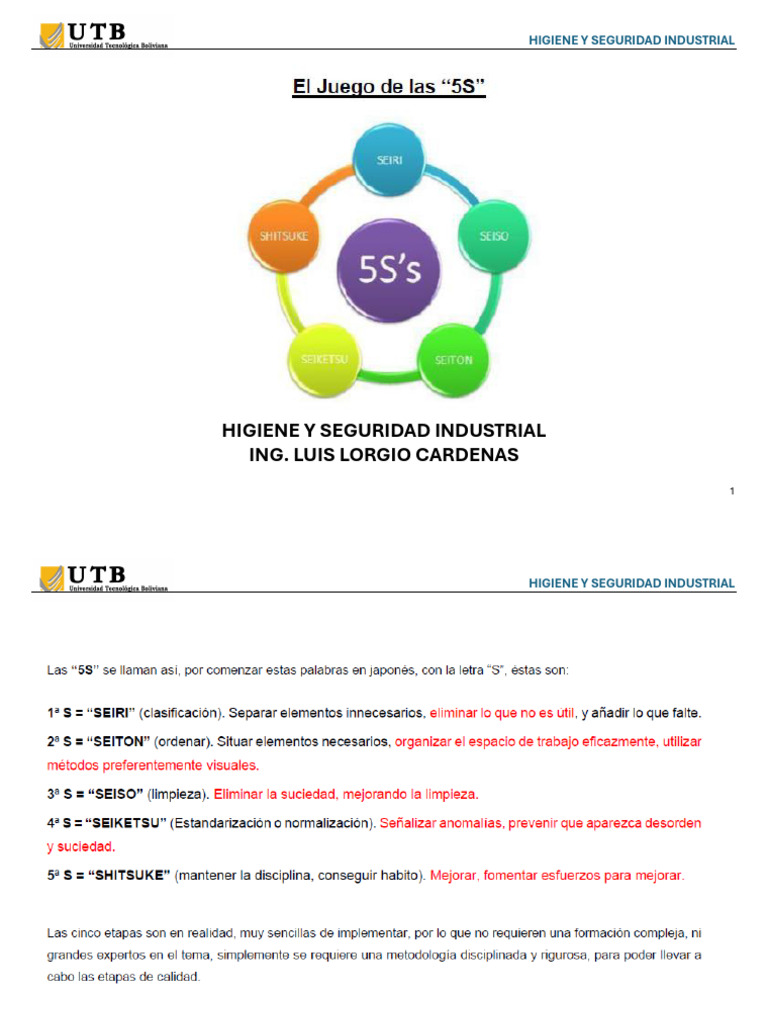 Higiene y Seguridad Industrial Esencial | PDF