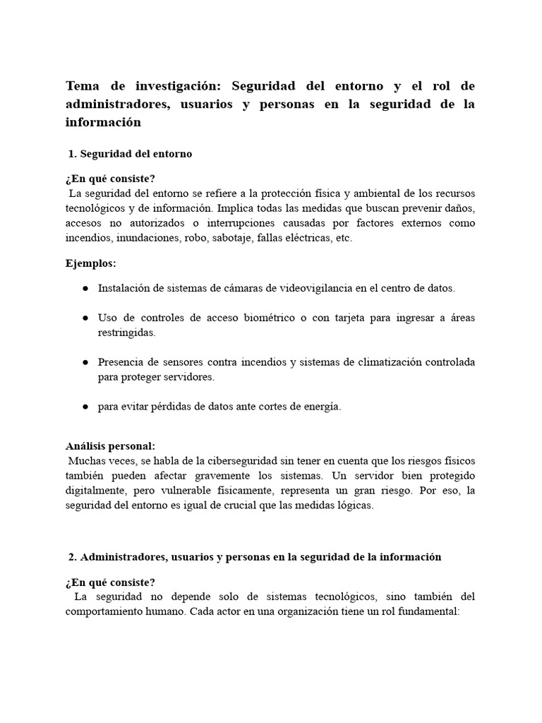 Seguridad del Entorno y Roles Clave en TI | PDF | La seguridad ...