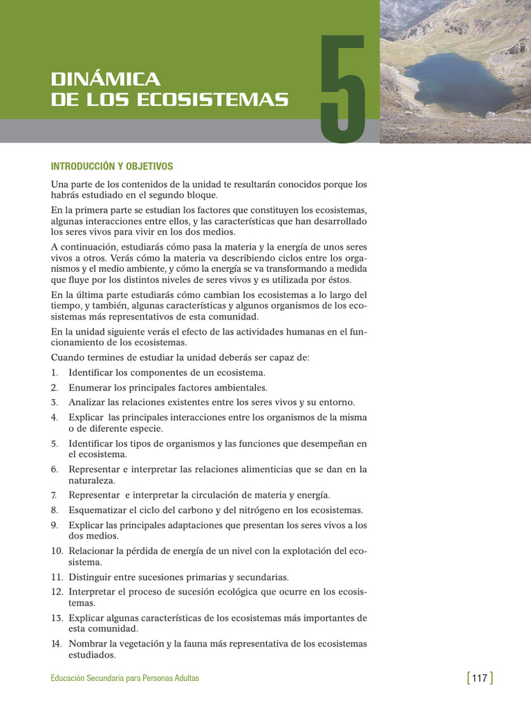 Dinámica de los Ecosistemas y Relaciones Biológicas | PDF | Biomasa ...