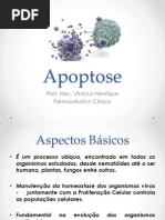 Apoptose