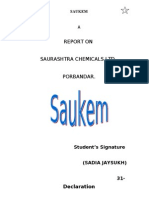 Report on Saurashtra Chemicals Ltd: Organization, Departments & Functions