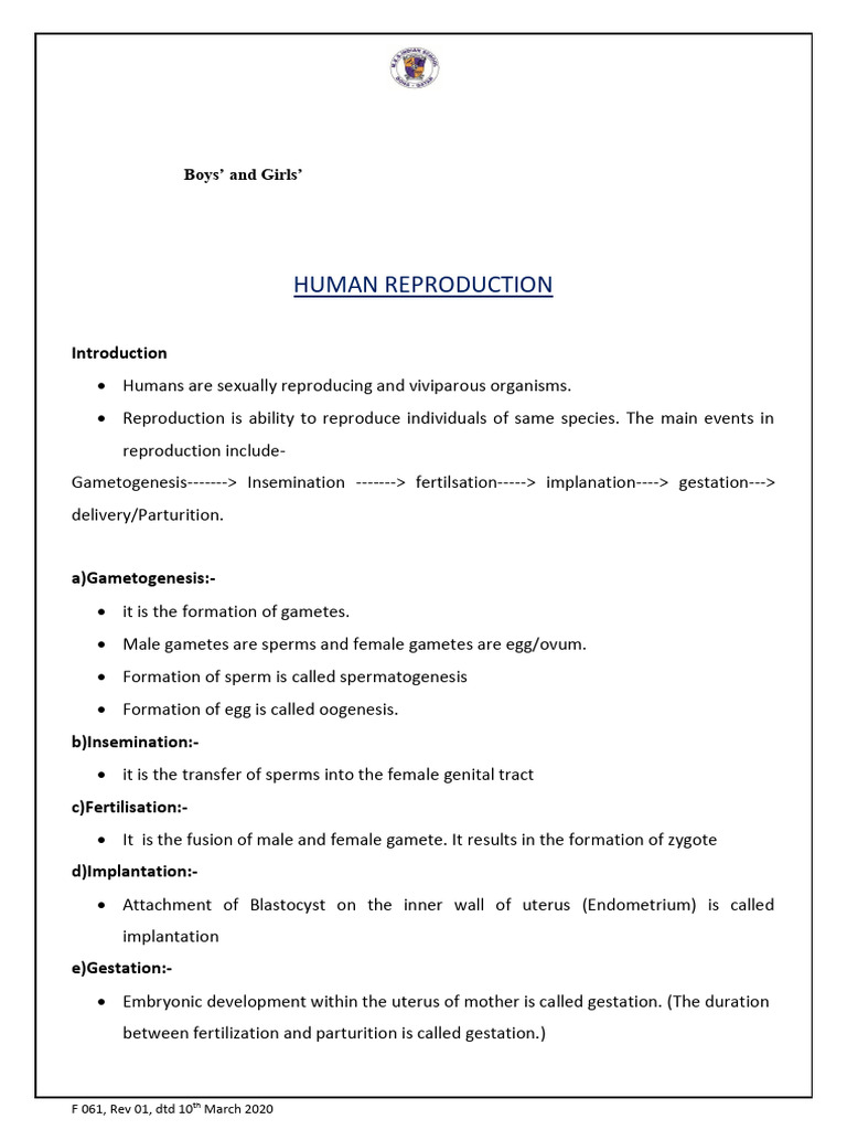 Overview of Human Reproduction | PDF | Menstrual Cycle | Testicle