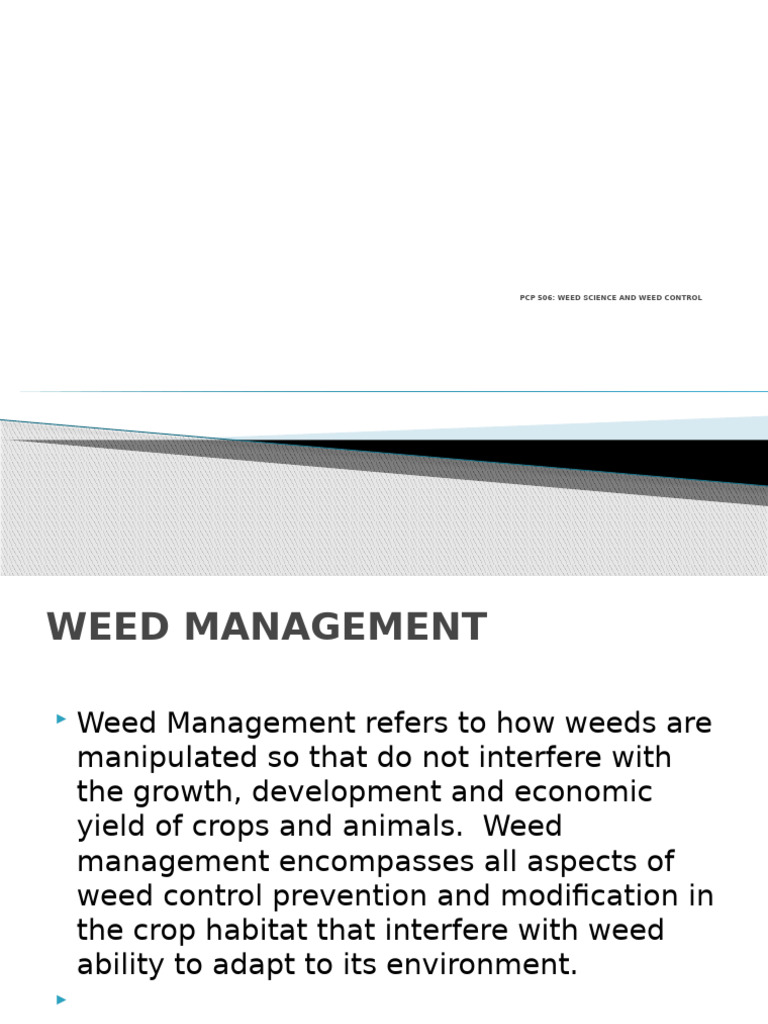 Effective Weed Management Strategies | PDF | Weed | Crop Rotation