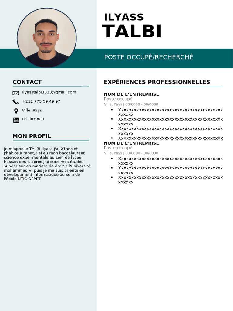 Modèle de CV avec Photo Gratuit | PDF | Informatique